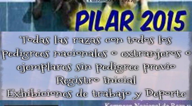 Imagen destacada del artículo «Exposición Ciudad Del Pilar 2015»
